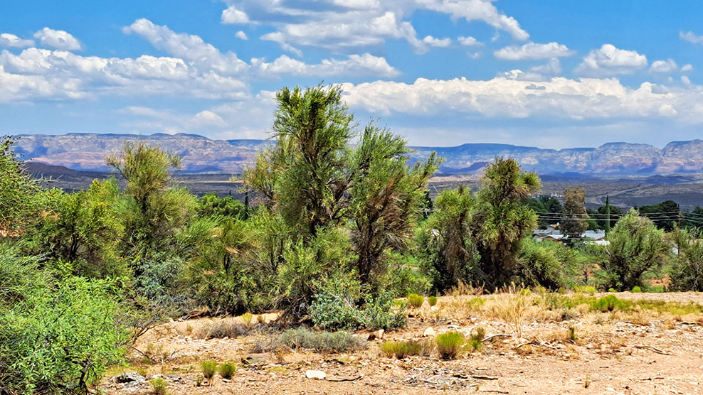 Cottonwood AZ land for sale