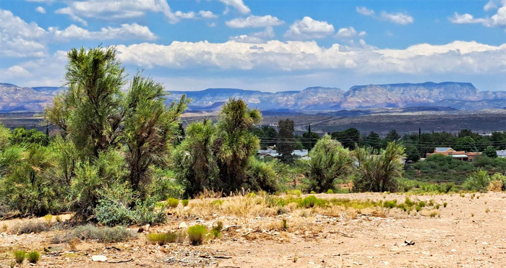 Cottonwood AZ land for sale