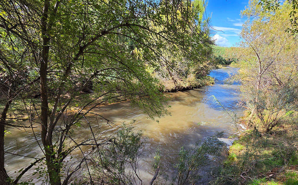 Cornville AZ waterfront land for sale